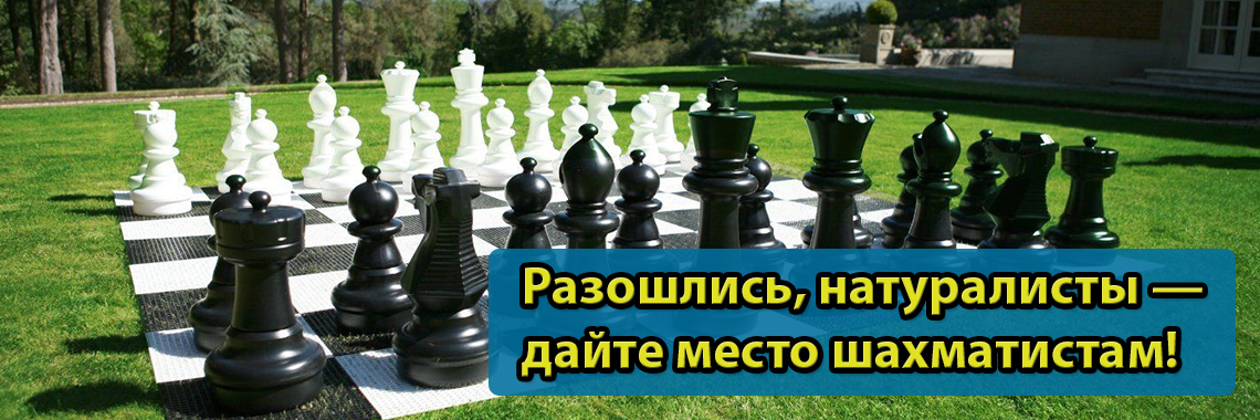 Большие уличные шахматы